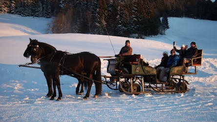 Viagem de um dia nos Alpes com passeio de trenó puxado a cavalo a partir de Salzburgo